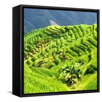 China 10MKm2 Collection - Rice Terraces - Longsheng Ping'an - Guangxi-Philippe Hugonnard-Framed Stretched Canvas