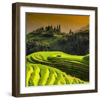 China 10MKm2 Collection - Rice Terraces - Longsheng Ping'an - Guangxi-Philippe Hugonnard-Framed Photographic Print