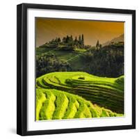 China 10MKm2 Collection - Rice Terraces - Longsheng Ping'an - Guangxi-Philippe Hugonnard-Framed Photographic Print