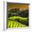 China 10MKm2 Collection - Rice Terraces - Longsheng Ping'an - Guangxi-Philippe Hugonnard-Framed Photographic Print