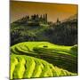 China 10MKm2 Collection - Rice Terraces - Longsheng Ping'an - Guangxi-Philippe Hugonnard-Mounted Photographic Print