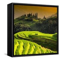 China 10MKm2 Collection - Rice Terraces - Longsheng Ping'an - Guangxi-Philippe Hugonnard-Framed Stretched Canvas