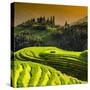 China 10MKm2 Collection - Rice Terraces - Longsheng Ping'an - Guangxi-Philippe Hugonnard-Stretched Canvas