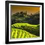 China 10MKm2 Collection - Rice Terraces - Longsheng Ping'an - Guangxi-Philippe Hugonnard-Framed Photographic Print