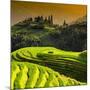 China 10MKm2 Collection - Rice Terraces - Longsheng Ping'an - Guangxi-Philippe Hugonnard-Mounted Photographic Print