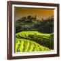 China 10MKm2 Collection - Rice Terraces - Longsheng Ping'an - Guangxi-Philippe Hugonnard-Framed Photographic Print