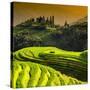 China 10MKm2 Collection - Rice Terraces - Longsheng Ping'an - Guangxi-Philippe Hugonnard-Stretched Canvas