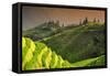 China 10MKm2 Collection - Rice Terraces - Longsheng Ping'an - Guangxi-Philippe Hugonnard-Framed Stretched Canvas