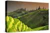 China 10MKm2 Collection - Rice Terraces - Longsheng Ping'an - Guangxi-Philippe Hugonnard-Stretched Canvas