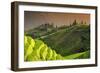 China 10MKm2 Collection - Rice Terraces - Longsheng Ping'an - Guangxi-Philippe Hugonnard-Framed Photographic Print