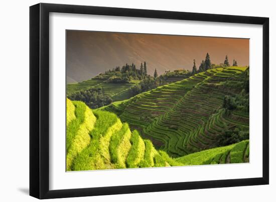 China 10MKm2 Collection - Rice Terraces - Longsheng Ping'an - Guangxi-Philippe Hugonnard-Framed Photographic Print