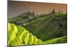 China 10MKm2 Collection - Rice Terraces - Longsheng Ping'an - Guangxi-Philippe Hugonnard-Mounted Photographic Print