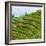 China 10MKm2 Collection - Rice Terraces - Longsheng Ping'an - Guangxi-Philippe Hugonnard-Framed Photographic Print