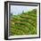 China 10MKm2 Collection - Rice Terraces - Longsheng Ping'an - Guangxi-Philippe Hugonnard-Framed Photographic Print