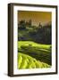 China 10MKm2 Collection - Rice Terraces - Longsheng Ping'an - Guangxi-Philippe Hugonnard-Framed Photographic Print