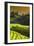 China 10MKm2 Collection - Rice Terraces - Longsheng Ping'an - Guangxi-Philippe Hugonnard-Framed Photographic Print