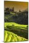 China 10MKm2 Collection - Rice Terraces - Longsheng Ping'an - Guangxi-Philippe Hugonnard-Mounted Photographic Print