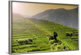 China 10MKm2 Collection - Rice Terraces - Longsheng Ping'an - Guangxi-Philippe Hugonnard-Framed Photographic Print