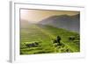 China 10MKm2 Collection - Rice Terraces - Longsheng Ping'an - Guangxi-Philippe Hugonnard-Framed Photographic Print