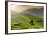 China 10MKm2 Collection - Rice Terraces - Longsheng Ping'an - Guangxi-Philippe Hugonnard-Framed Photographic Print