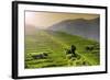 China 10MKm2 Collection - Rice Terraces - Longsheng Ping'an - Guangxi-Philippe Hugonnard-Framed Photographic Print