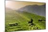 China 10MKm2 Collection - Rice Terraces - Longsheng Ping'an - Guangxi-Philippe Hugonnard-Mounted Photographic Print