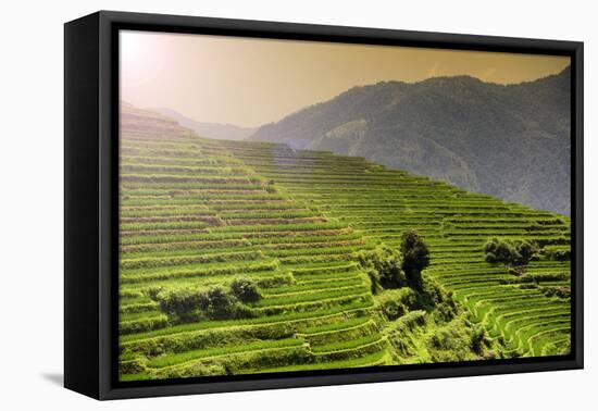 China 10MKm2 Collection - Rice Terraces - Longsheng Ping'an - Guangxi-Philippe Hugonnard-Framed Stretched Canvas