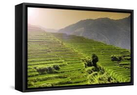 China 10MKm2 Collection - Rice Terraces - Longsheng Ping'an - Guangxi-Philippe Hugonnard-Framed Stretched Canvas