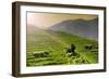 China 10MKm2 Collection - Rice Terraces - Longsheng Ping'an - Guangxi-Philippe Hugonnard-Framed Photographic Print