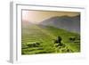 China 10MKm2 Collection - Rice Terraces - Longsheng Ping'an - Guangxi-Philippe Hugonnard-Framed Photographic Print