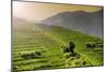 China 10MKm2 Collection - Rice Terraces - Longsheng Ping'an - Guangxi-Philippe Hugonnard-Mounted Photographic Print