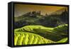 China 10MKm2 Collection - Rice Terraces - Longsheng Ping'an - Guangxi-Philippe Hugonnard-Framed Stretched Canvas