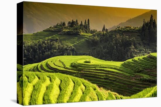 China 10MKm2 Collection - Rice Terraces - Longsheng Ping'an - Guangxi-Philippe Hugonnard-Stretched Canvas