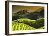 China 10MKm2 Collection - Rice Terraces - Longsheng Ping'an - Guangxi-Philippe Hugonnard-Framed Photographic Print