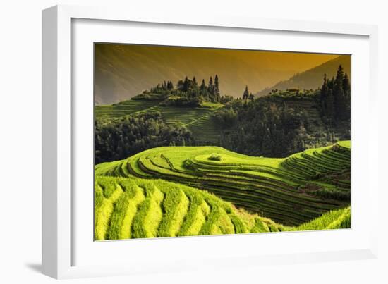 China 10MKm2 Collection - Rice Terraces - Longsheng Ping'an - Guangxi-Philippe Hugonnard-Framed Photographic Print