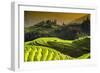 China 10MKm2 Collection - Rice Terraces - Longsheng Ping'an - Guangxi-Philippe Hugonnard-Framed Photographic Print