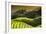 China 10MKm2 Collection - Rice Terraces - Longsheng Ping'an - Guangxi-Philippe Hugonnard-Framed Photographic Print