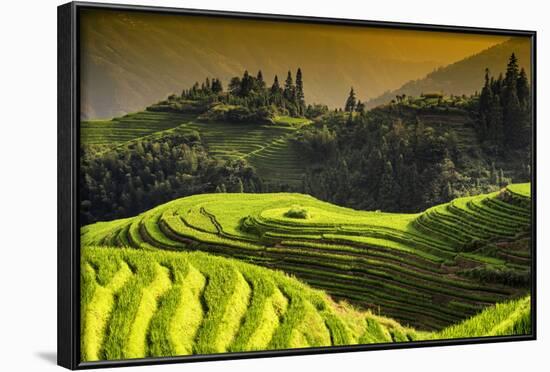 China 10MKm2 Collection - Rice Terraces - Longsheng Ping'an - Guangxi-Philippe Hugonnard-Framed Photographic Print