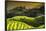 China 10MKm2 Collection - Rice Terraces - Longsheng Ping'an - Guangxi-Philippe Hugonnard-Framed Photographic Print