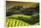 China 10MKm2 Collection - Rice Terraces - Longsheng Ping'an - Guangxi-Philippe Hugonnard-Framed Photographic Print