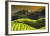 China 10MKm2 Collection - Rice Terraces - Longsheng Ping'an - Guangxi-Philippe Hugonnard-Framed Photographic Print