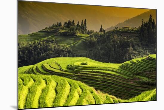 China 10MKm2 Collection - Rice Terraces - Longsheng Ping'an - Guangxi-Philippe Hugonnard-Mounted Photographic Print