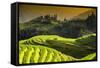 China 10MKm2 Collection - Rice Terraces - Longsheng Ping'an - Guangxi-Philippe Hugonnard-Framed Stretched Canvas