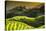 China 10MKm2 Collection - Rice Terraces - Longsheng Ping'an - Guangxi-Philippe Hugonnard-Stretched Canvas