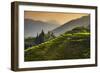 China 10MKm2 Collection - Rice Terraces - Longsheng Ping'an - Guangxi-Philippe Hugonnard-Framed Photographic Print