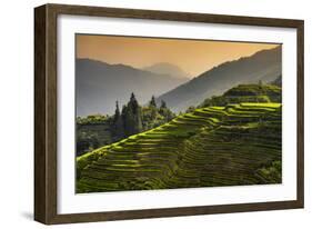 China 10MKm2 Collection - Rice Terraces - Longsheng Ping'an - Guangxi-Philippe Hugonnard-Framed Photographic Print