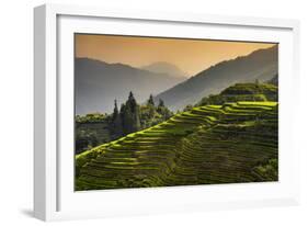 China 10MKm2 Collection - Rice Terraces - Longsheng Ping'an - Guangxi-Philippe Hugonnard-Framed Photographic Print