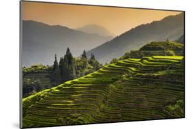 China 10MKm2 Collection - Rice Terraces - Longsheng Ping'an - Guangxi-Philippe Hugonnard-Mounted Photographic Print