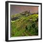 China 10MKm2 Collection - Rice Terraces - Longsheng Ping'an - Guangxi-Philippe Hugonnard-Framed Photographic Print