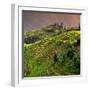 China 10MKm2 Collection - Rice Terraces - Longsheng Ping'an - Guangxi-Philippe Hugonnard-Framed Photographic Print